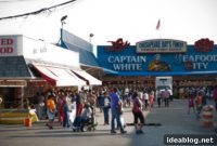 The Capital’s Freshest Catch