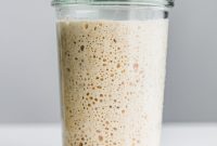 Sourdough Starter Rescue