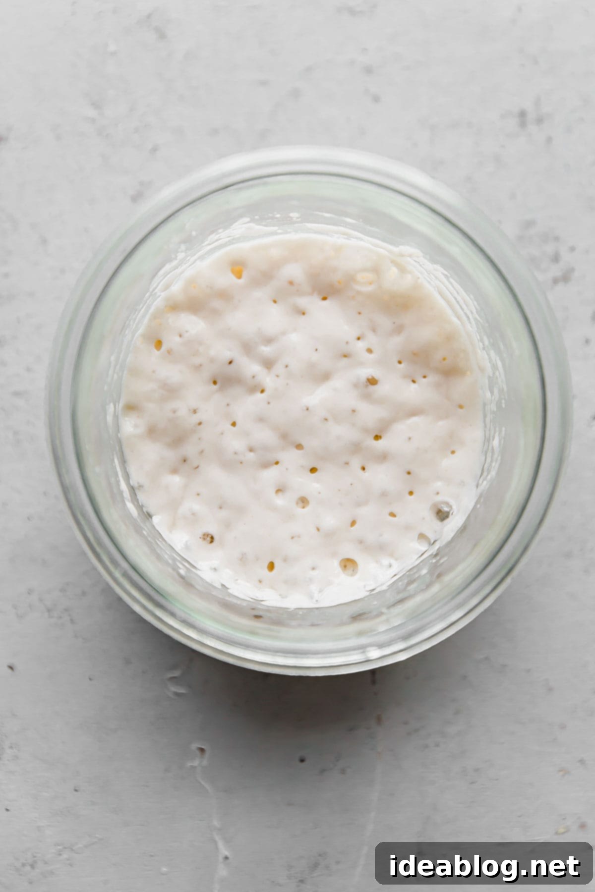 Resurrect Your Dried Sourdough Starter 1 featured 50759
