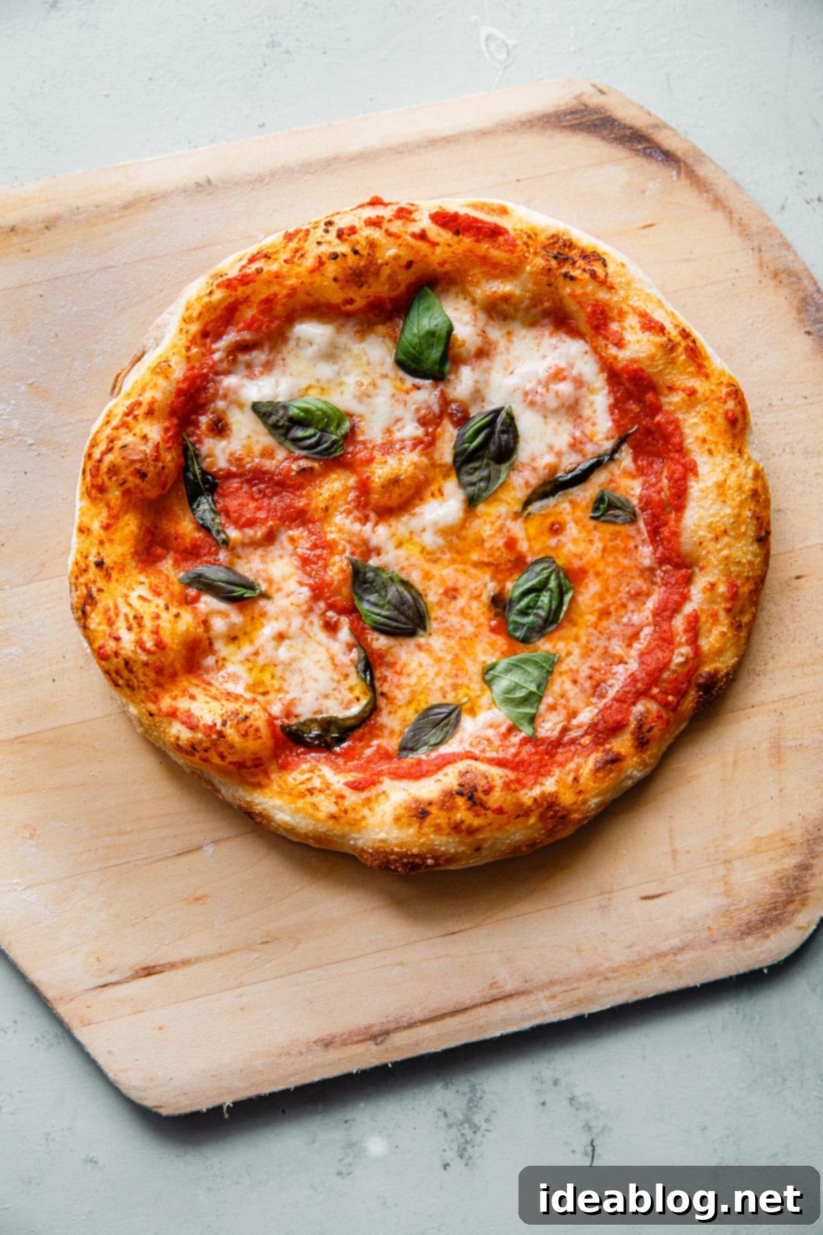 Artisan Sourdough Pizza Dough 1 featured 52868