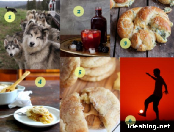 Snackable Insights 1 featured 5365
