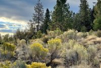 Our Permanent New Home