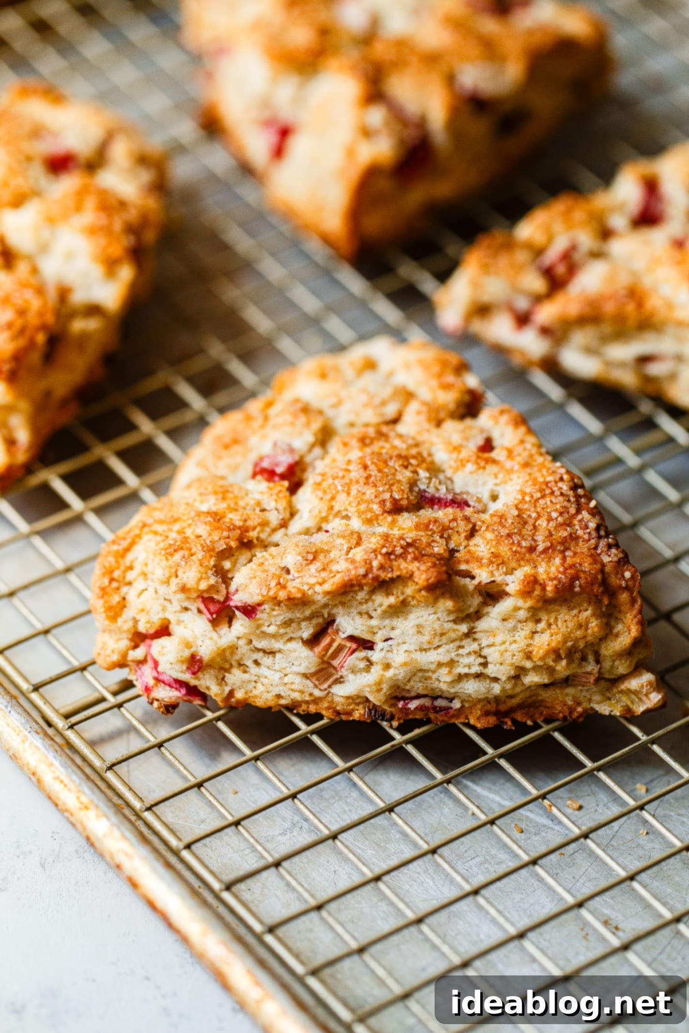 Zesty Orange Glazed Rhubarb Scones 1 featured 62351