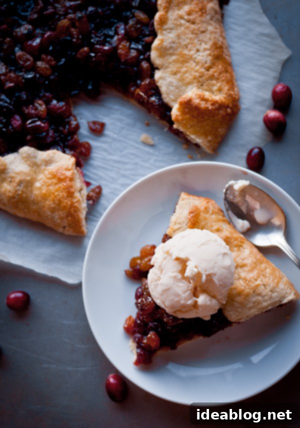 Sweet and Tangy Cranberry Raisin Tart 1 featured 6564