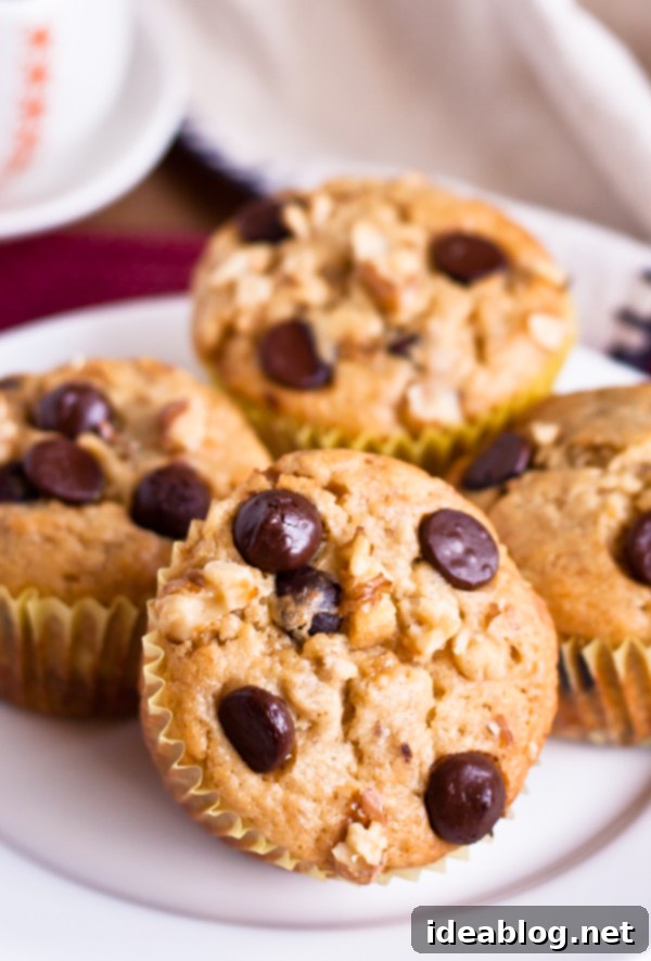 Banana Bliss Muffins 1 featured 6755