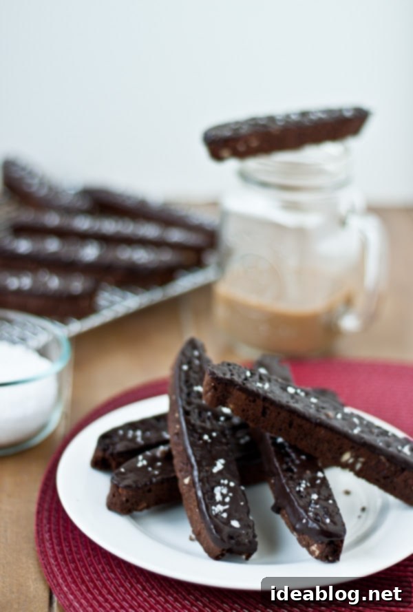 Sea Salted Double Chocolate Biscotti 1 featured 7573