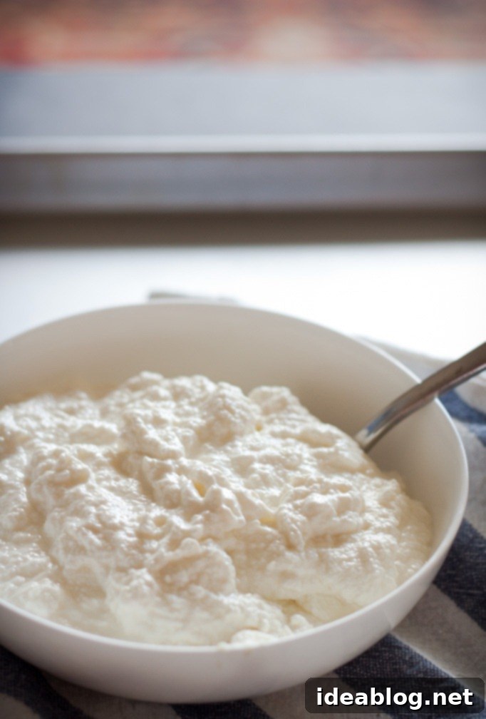 Homemade Ricotta: So Easy, So Delicious 1 featured 87