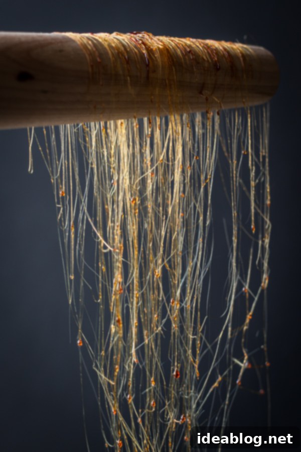 The Art of Spinning Sugar 1 featured 9813