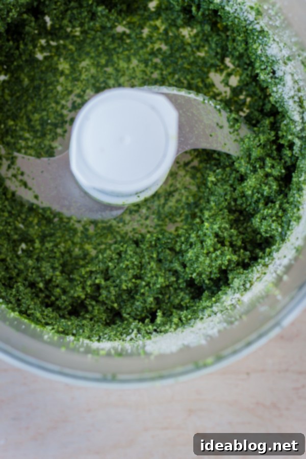 Black Pearl Risotto with Vibrant Kale Pesto 4 Kale Pesto in Food Processor Bowl