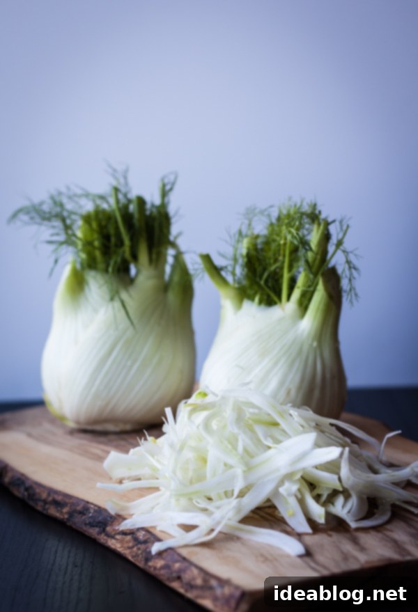 Zesty Orange Fennel Pecorino Salad 3 Fresh Fennel Bulb ready for shaving