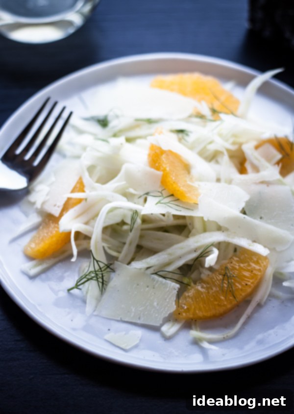 Zesty Orange Fennel Pecorino Salad 6 Shaved Fennel Orange and Pecorino Salad plated beautifully