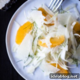 Zesty Orange Fennel Pecorino Salad 7 Shaved Fennel Orange and Pecorino Salad