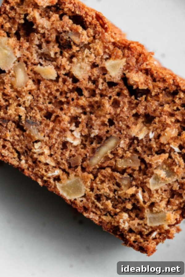 Apple Cinnamon Oat Loaf 11 Apple Quick Bread Crumb Texture