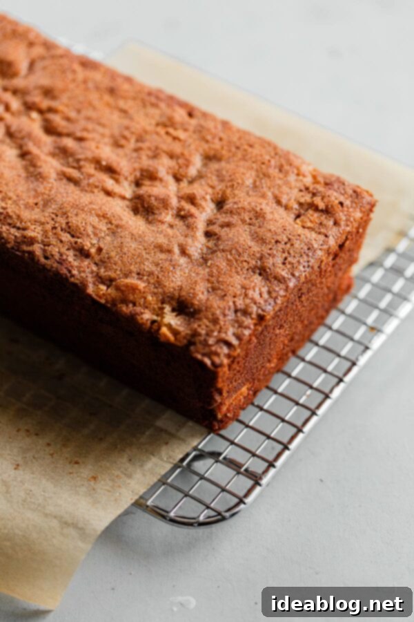 Apple Cinnamon Oat Loaf 3 Baked Apple Quick Bread