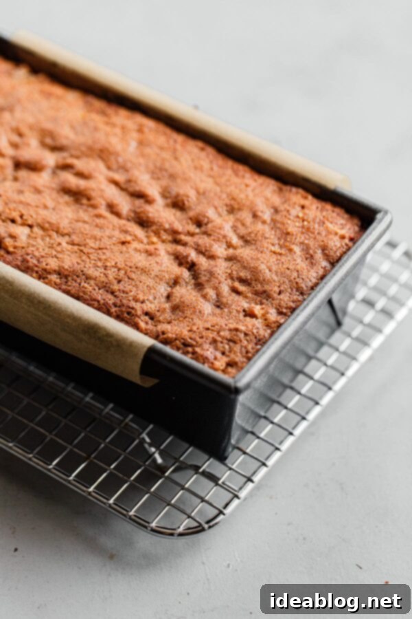Apple Cinnamon Oat Loaf 6 Baked Apple Quick Bread in Loaf Pan