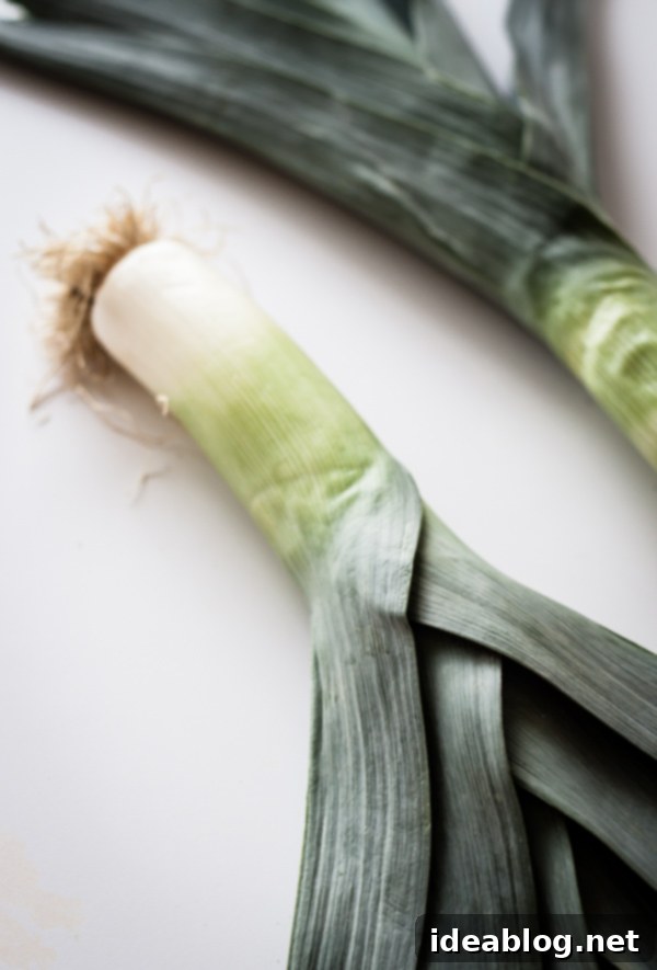 Creamy Spring Asparagus Soup 4 Fresh Leeks