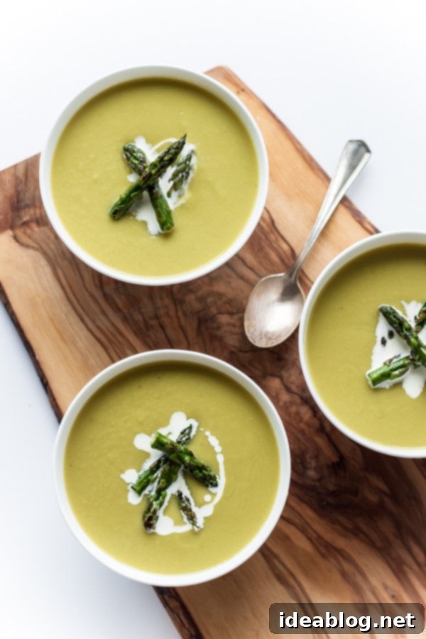 Creamy Spring Asparagus Soup 5 Springtime Asparagus Soup