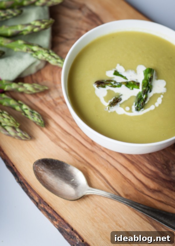Creamy Spring Asparagus Soup 6 Springtime Asparagus Soup