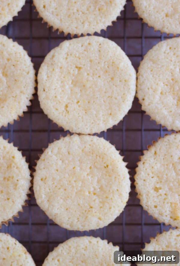 Raspberry Lemonade Cocktail Cupcakes 3 Vanilla Cupcakes