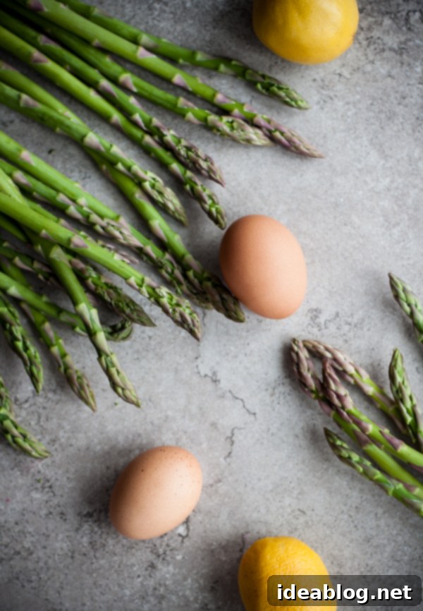 Golden Mimosa Asparagus Salad 3 Fresh Asparagus and Hard Boiled Eggs Ready for Salad