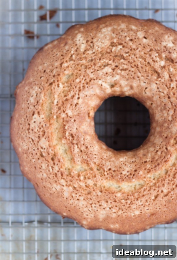 Zesty Coconut Cardamom Lime Bliss 4 Baked Coconut Cardamom Lime Tea Cake cooling