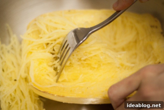 Ultimate Spaghetti Squash with Zesty Tomato Sauce and Meatballs 3 Raked Spaghetti Squash