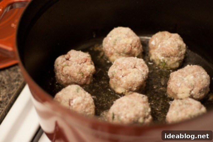Ultimate Spaghetti Squash with Zesty Tomato Sauce and Meatballs 5 Meatballs In Dutch Oven