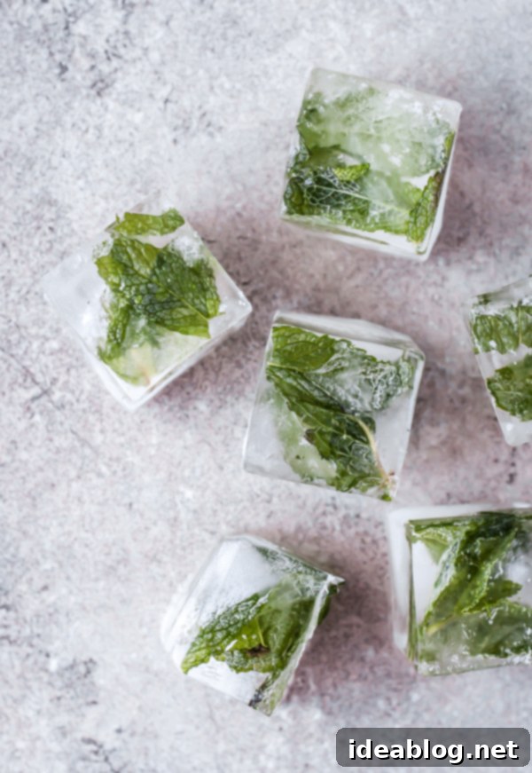 Zesty Ginger Mint Refresher 4 Mint Leaf Ice Cubes in an ice tray with water