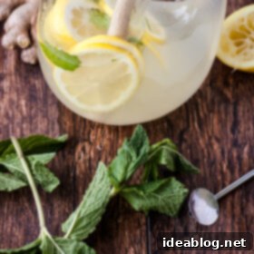Zesty Ginger Mint Refresher 6 Fresh Mint Ginger Lemonade
