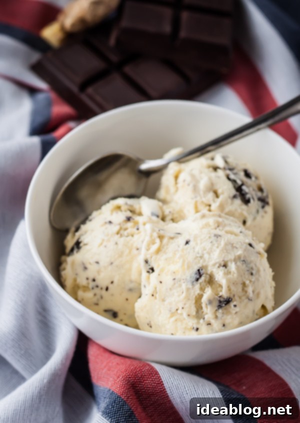 Creamy Homemade Ginger Ice Cream with Chocolate Bits in a bowl, ready to serve.