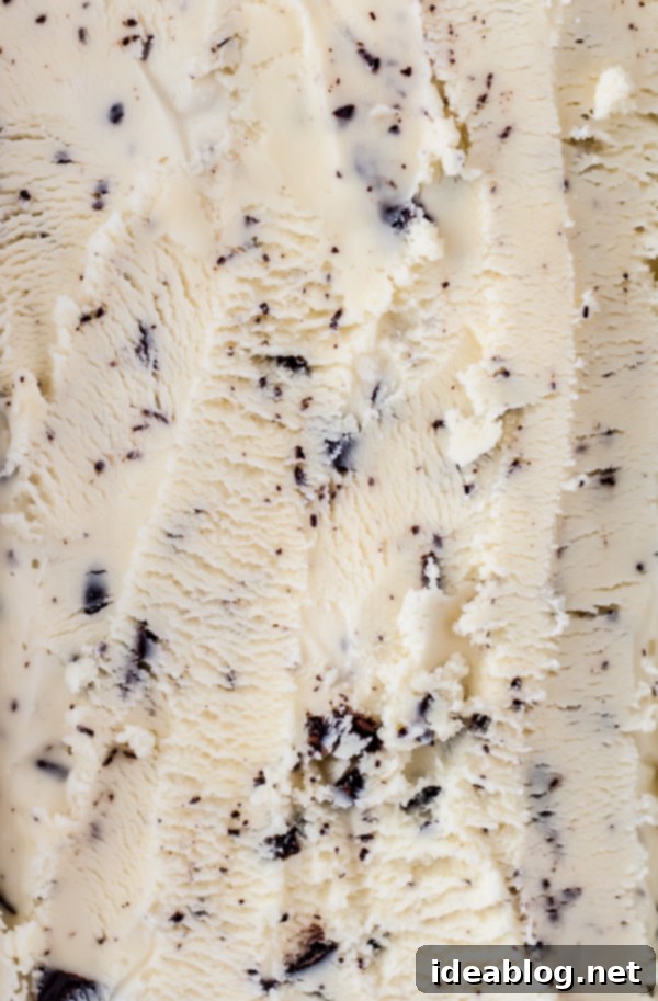 Close-up shot of the ginger ice cream, showcasing its creamy texture and visible chocolate bits.