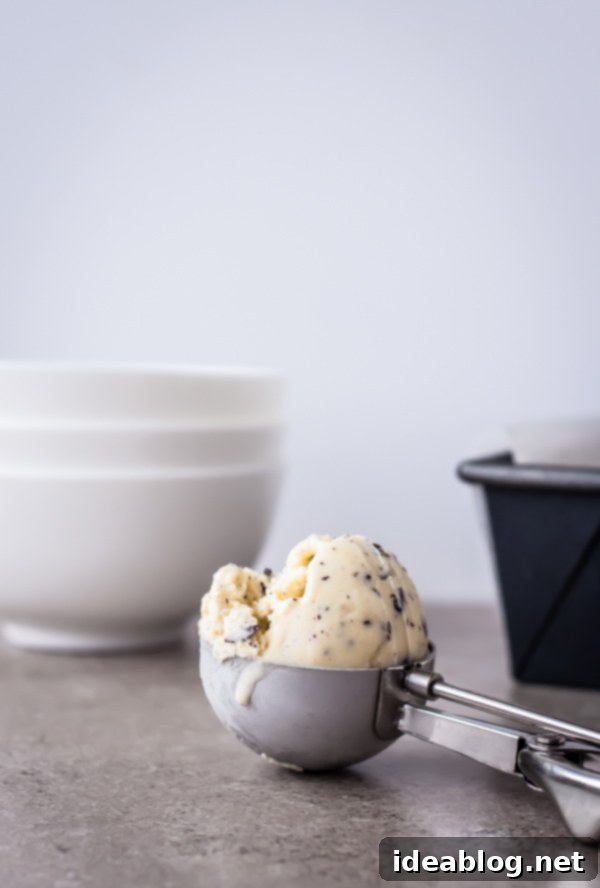 A scoop of homemade ginger ice cream with chocolate bits, perfectly swirled and ready to enjoy.