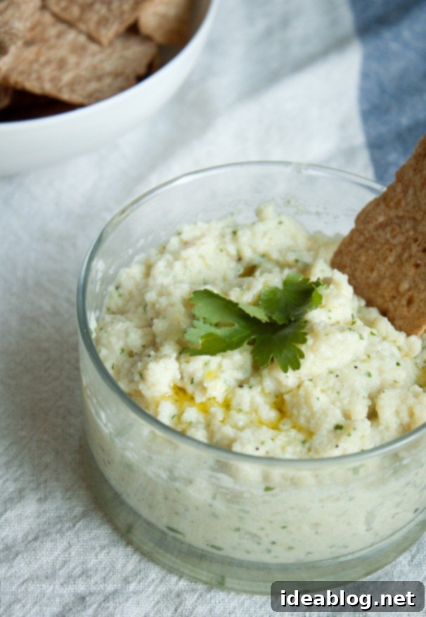 Velvet Palm Dip 2 Creamy Hearts of Palm Dip with fresh herbs and crackers, served in a bowl