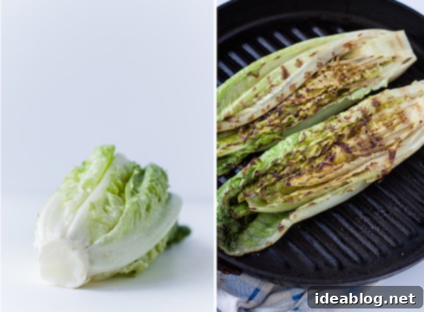 Fire-Kissed Romaine with Zesty Tomatillos, Avocado, and Cotija 4 Close-up of perfectly grilled romaine lettuce with charred edges