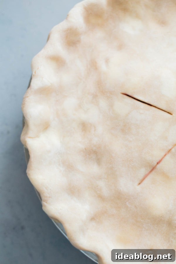Sun-Kissed Blackberry Peach Delight 4 Crimped pie crust in a ceramic pie pan, showcasing neat, decorative edges and a ready-to-fill base