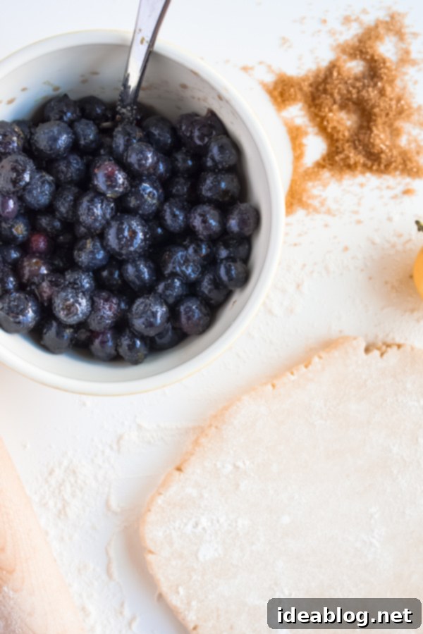 Flaky Blueberry Bites 3 How to Make Blueberry Hand Pies