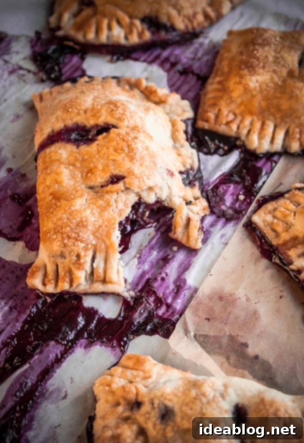 Flaky Blueberry Bites 6 Blueberry Hand Pies