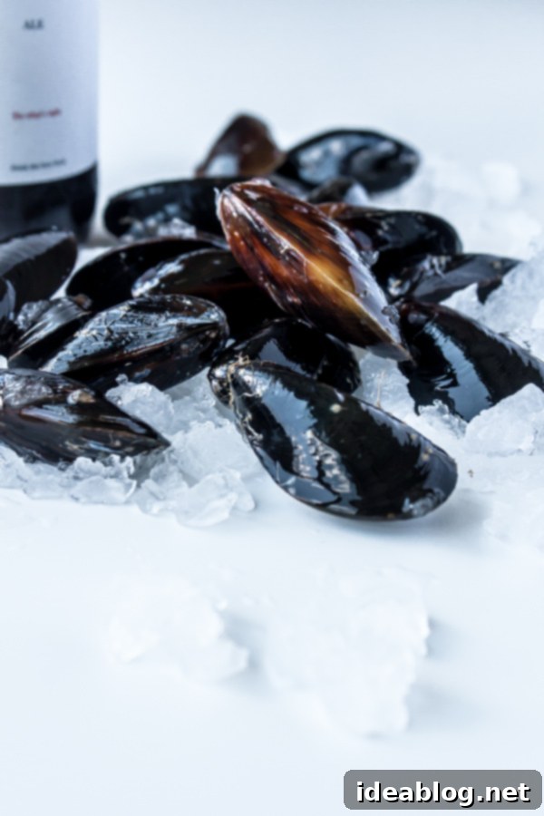 Wine-Kissed Mussels 3 Close-up of fresh mussels in a bowl, showing their vibrant shells