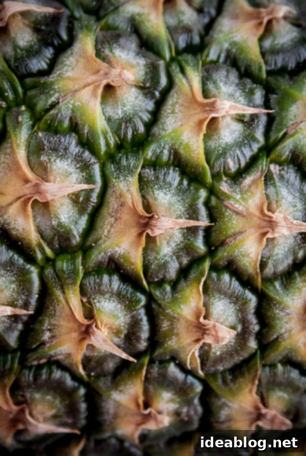 Tropical Pineapple Basil Rum Fizz 4 Pineapple Skin Close Up