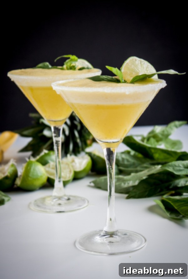 Tropical Pineapple Basil Rum Fizz 6 Pineapple Basil Rum Fizz