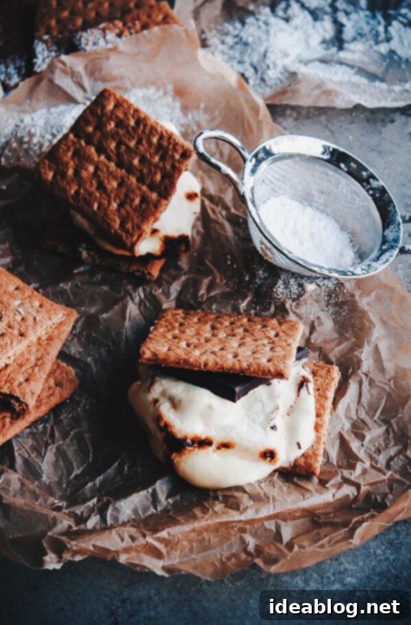 Exotic Dark Chocolate Passion Fruit S'mores 2 Gourmet Dark Chocolate Passion Fruit S'mores