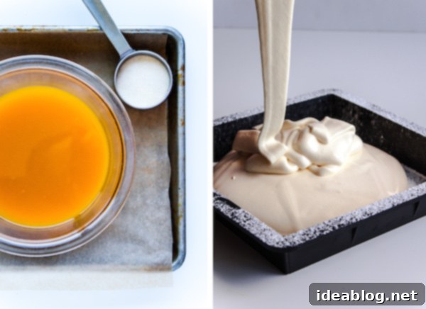 Exotic Dark Chocolate Passion Fruit S'mores 4 Process of Making Passion Fruit Marshmallows