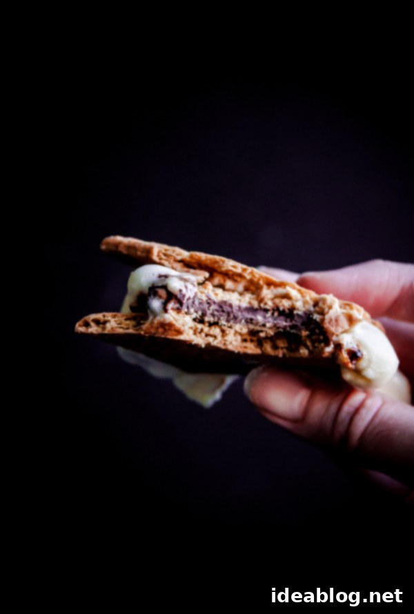 Exotic Dark Chocolate Passion Fruit S'mores 6 Delicious Dark Chocolate Passion Fruit S'mores