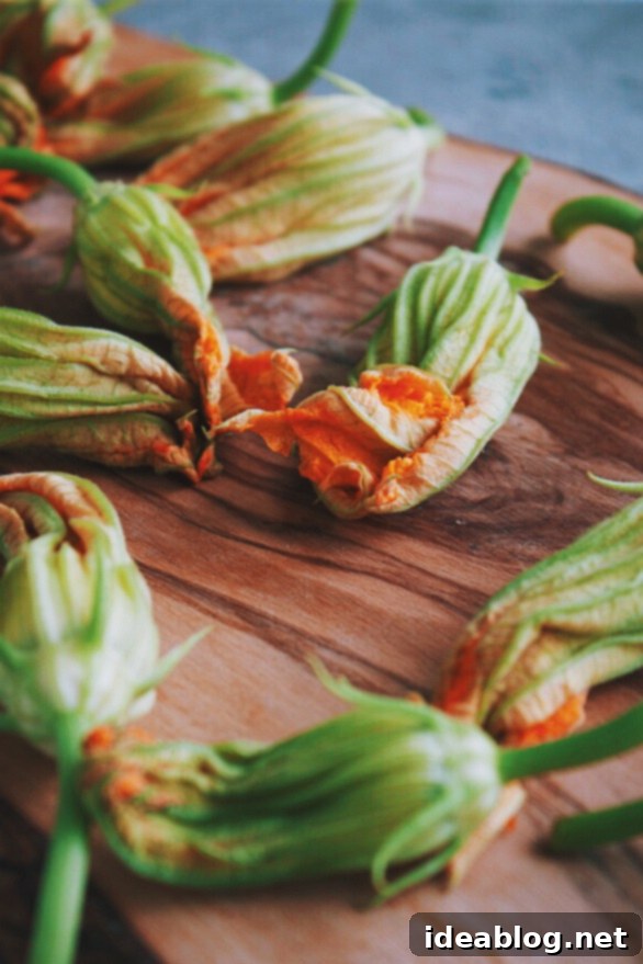 Basil Ricotta-Stuffed Golden Zucchini Blossoms 3 Fresh Zucchini Blossoms