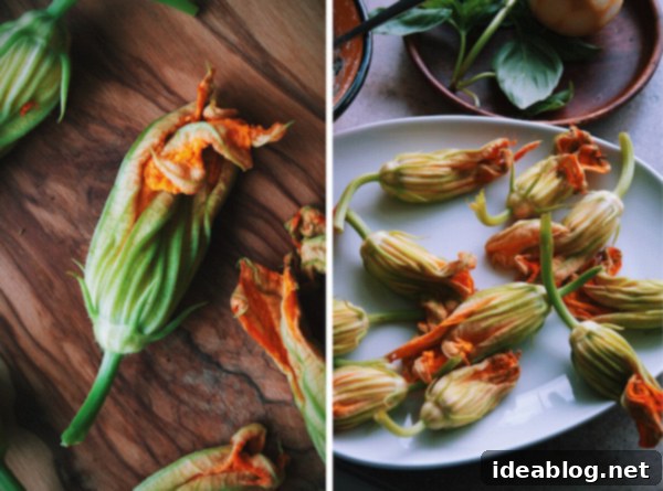 Basil Ricotta-Stuffed Golden Zucchini Blossoms 6 How to Make Fried Zucchini Blossoms