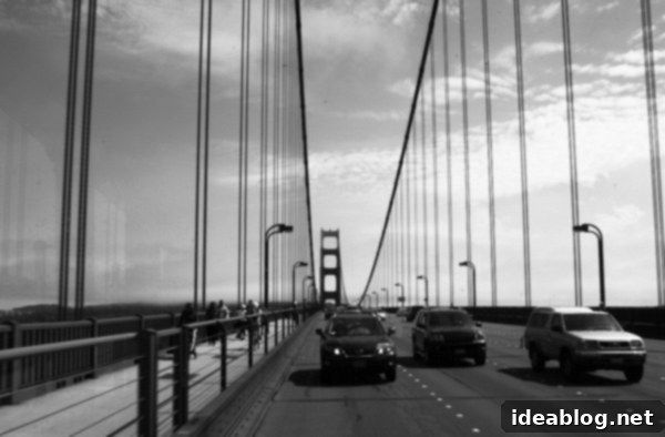 A Week in the City by the Bay 18 The iconic Golden Gate Bridge spanning the San Francisco Bay