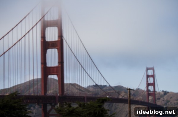 A Week in the City by the Bay 21 Another beautiful perspective of the Golden Gate Bridge
