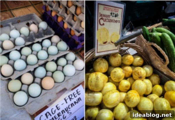 A Week in the City by the Bay 6 Temescal Farmer's Market in Oakland with fresh produce