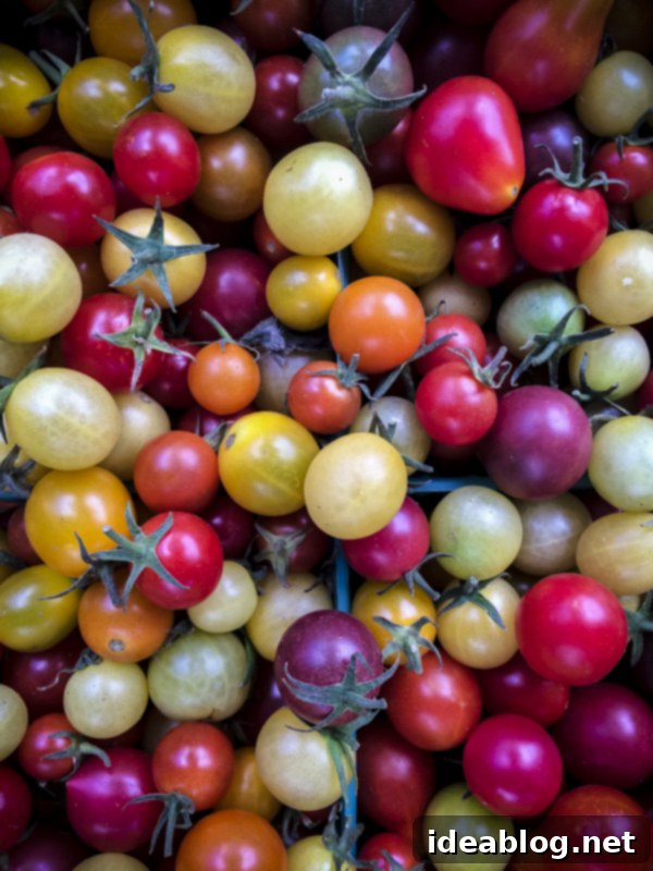 A Week in the City by the Bay 7 Beautiful display of fresh produce at Oakland Farmer's Market