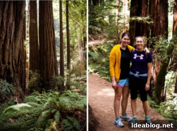 A Week in the City by the Bay 8 Towering redwood trees in Muir Woods National Monument